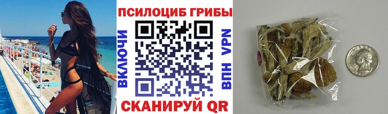 цена наркотик  Шелехов  Псилоцибиновые грибы GOLDEN TEACHER 