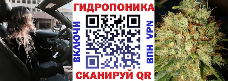 omg ТОР  продажа наркотиков  Шелехов  МАРИХУАНА план 